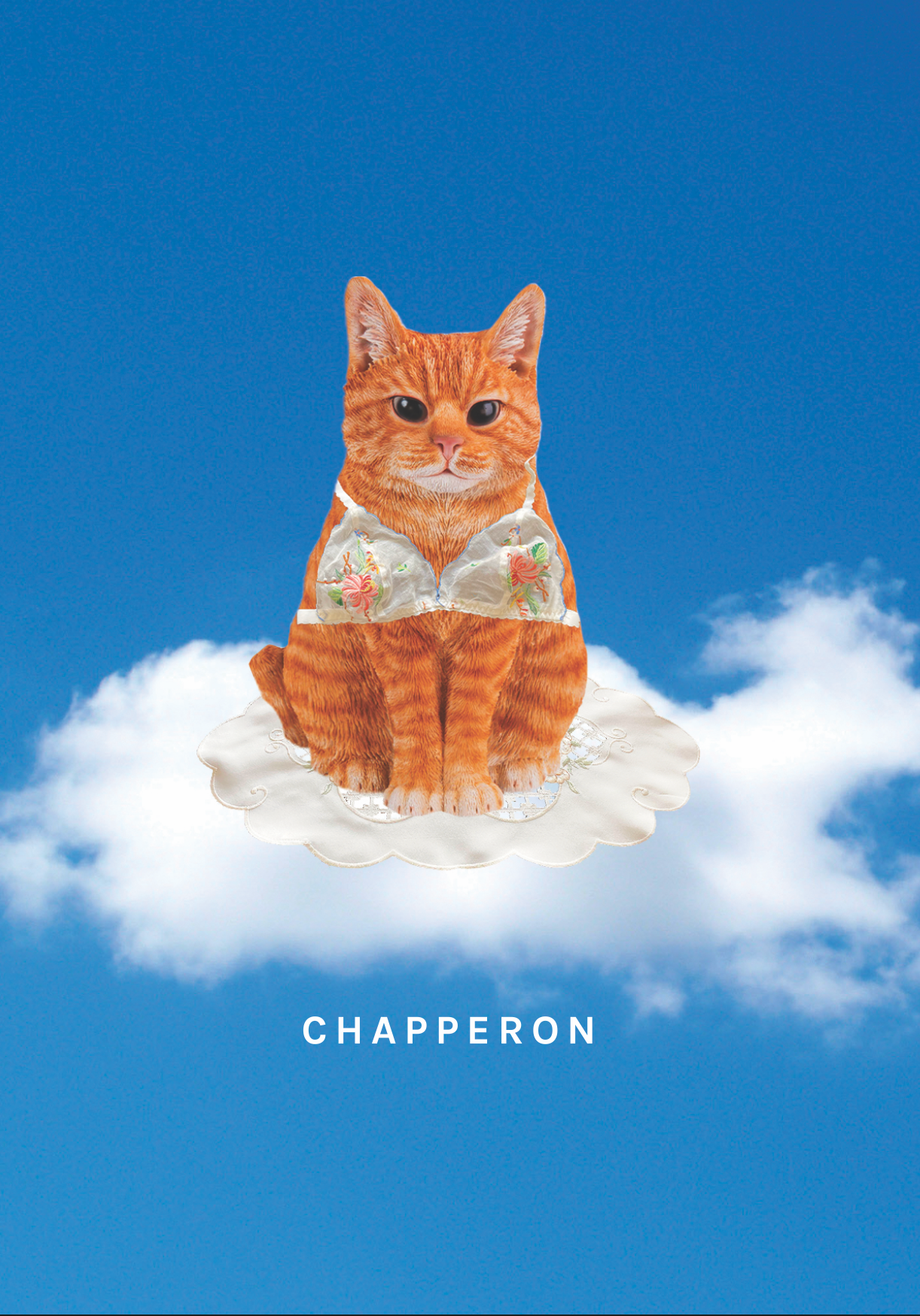 Carte Postale Napperon